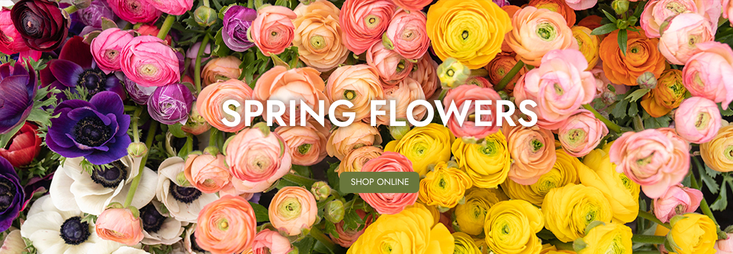 Home Petals Florist Newton Aycliffe Newton Aycliffe County Durham